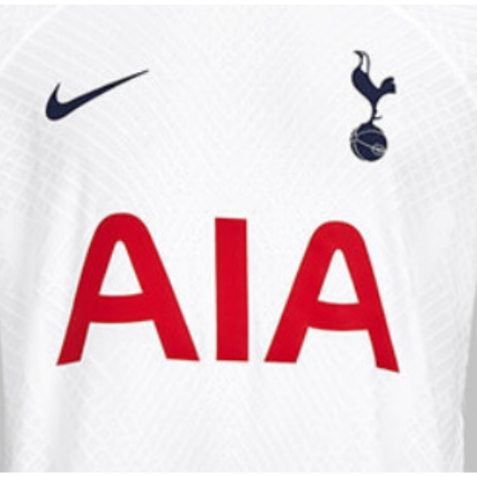 Tottenham AIA Home Replacement Sponsor