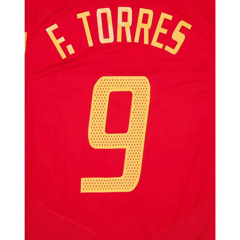 Spain 2004 Fernando Torres Home Name Set
