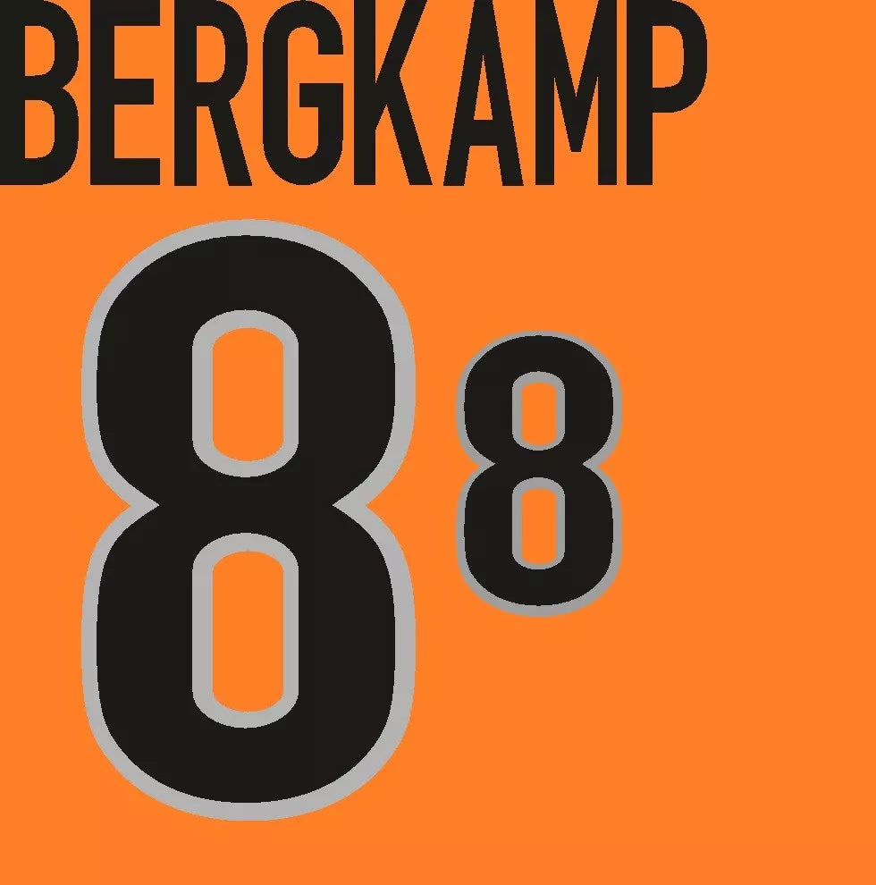 Netherlands 1998/00 Bergkamp Home Name Set